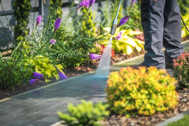 Best Parking Lot and Garage Cleaning  in Northwoods, MO